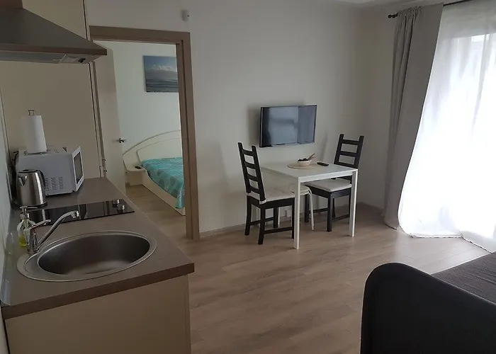 Maluno Vilos One-Bedroom Apartment Apartment Palanga