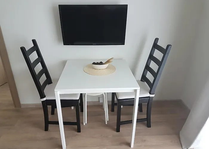 Maluno Vilos One-Bedroom Apartment * Palanga